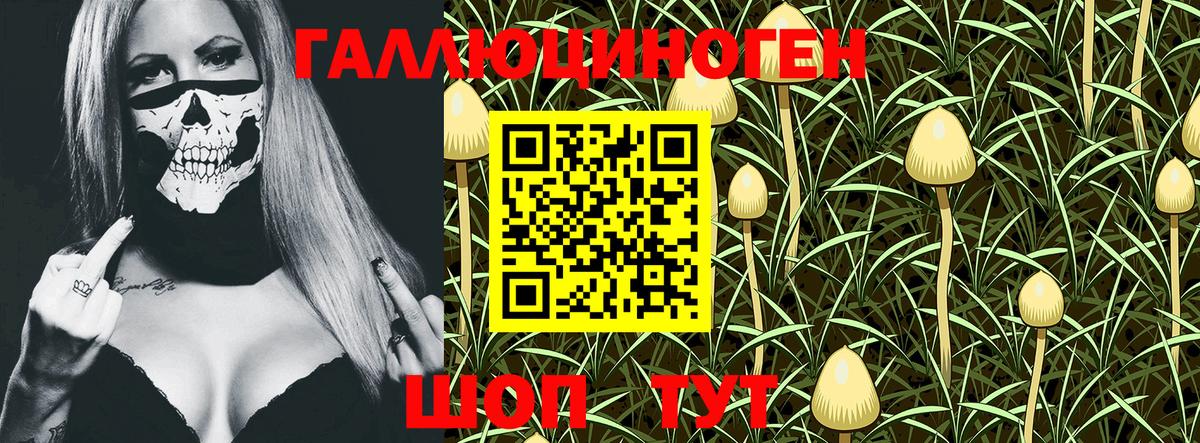 Елец  Псилоцибиновые грибы MAGIC MUSHROOMS  Вход с VPN 